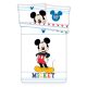 Disney Mickey Colors gyerek, ovis ágyneműhuzat 100×135cm, 40×60 cm