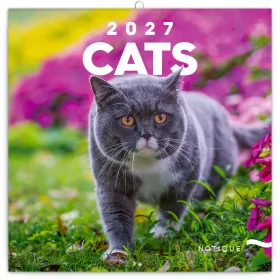   Falinaptár képes lemeznaptár 300x300mm, Cats Realsystem 2027.