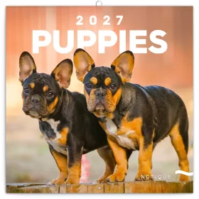   Falinaptár képes lemeznaptár 300x300mm, Puppies Realsystem 2027.