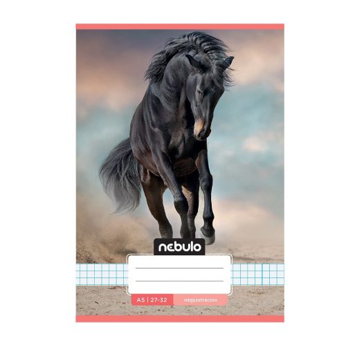 Füzet, A5, kockás, 27-32, Cuki minták, 16 db/csomag Nebulo