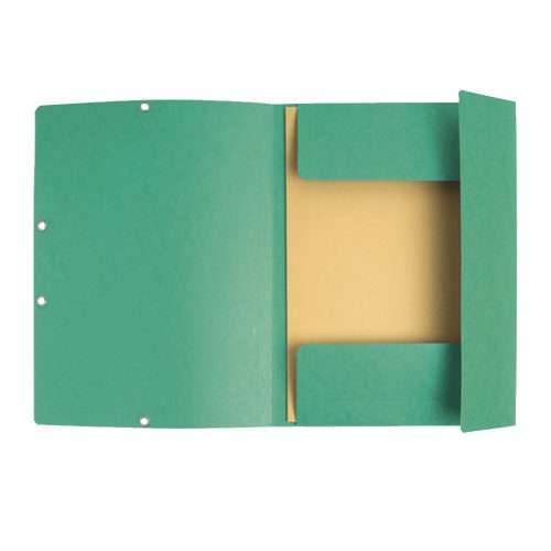 Gumis mappa karton  prespán A/4 Exacompta zöld