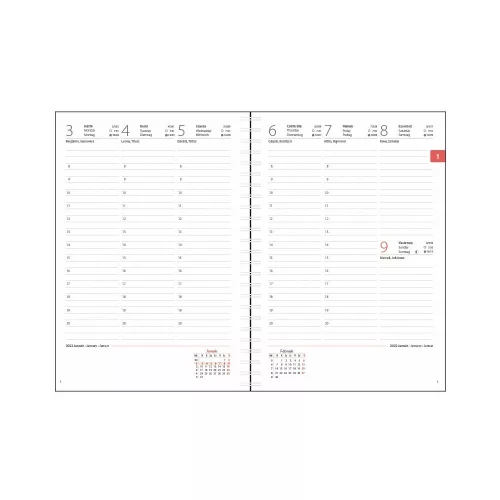 Határidőnapló InSpiral A5 heti, fehér lapokkal Graffiti Dayliner 2026.