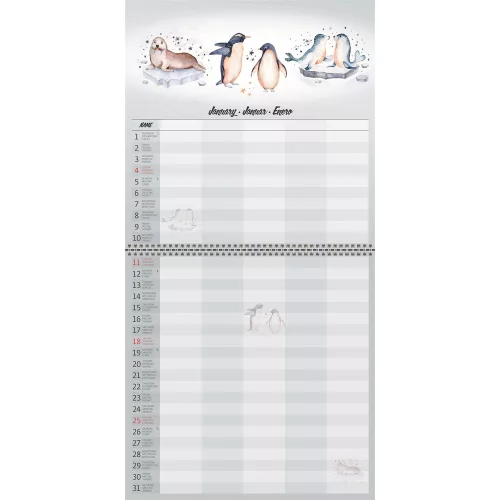 Falinaptár képes 300 x 300 mm, fehér lapokkal Family Planner Dayliner 2026.