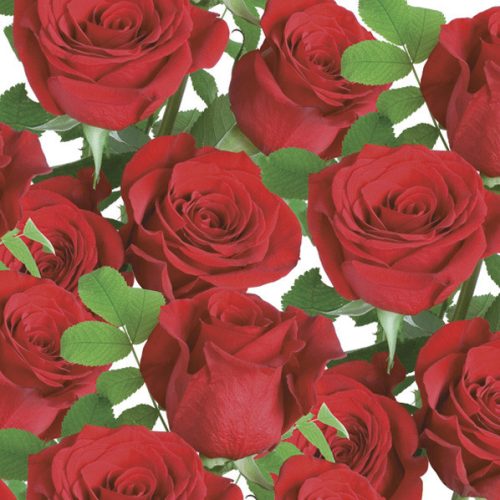 Rózsa Classic Red szalvéta 20 db-os 33x33 cm
