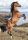 Lovas Wild Spirit A/4 gumis mappa