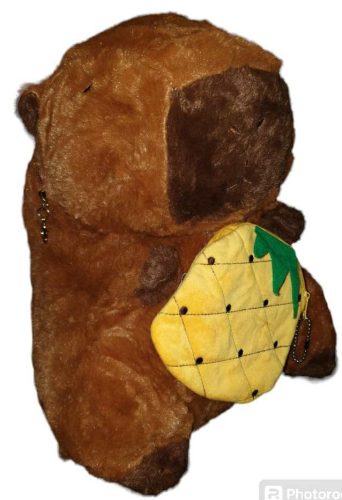 Capybara hátizsák ananász pénztárcával