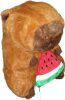 Capybara hátizsák dinnye pénztárcával