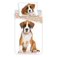 Boxer