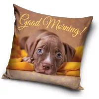 Staffordshire terrier