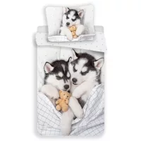 Husky kutya