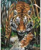 Gyémántfestés szett, tigris a dzsungelben, 38x48cm