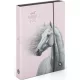 Lovas füzetbox A/4, jumbo, OXY 2026 Horse romantic