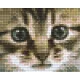 Pixel szett 1 normál alaplappal, színekkel, cica (801179)