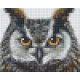 Pixel szett 1 normál alaplappal, színekkel, bagoly (801307)