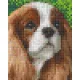 Pixel szett 1 normál alaplappal, színekkel, kutya, logó fülű (801319)