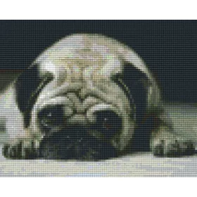   Pixel szett 4 normál alaplappal, színekkel, kutya, bulldog (804224)