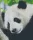 Pixel szett 6 normál alaplappal, színekkel, panda (806150)