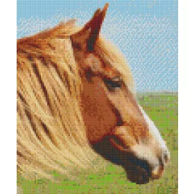 Pixel szett 6 normál alaplappal, színekkel, ló (806154)