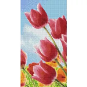   Pixel szett 6 normál alaplappal, színekkel, tulipánok a réten (806168)