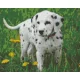 Pixel szett 9 normál alaplappal, színekkel, kutya, dalmata (809280)