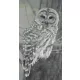 Pixel szett 24 normál alaplappal, színekkel, bagoly (824025)