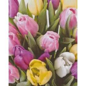   Pixel szett 25 normál alaplappal, színekkel, tulipánok (825051)