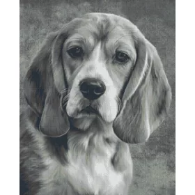   Pixel szett 36 normál alaplappal, színekkel, kutya, basset hound (836025)