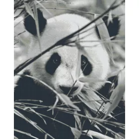   Pixel szett 36 normál alaplappal, színekkel, panda (836026)
