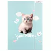 Cicás gumis mappa A/4, Starpak, kétféle, pawsitive (553545)
