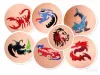Csillámtetoválás Rumbler szett (25 sablon, 3 csillámpor, 5 ml ragasztó, ecset)