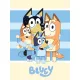 Bluey gyerek fiú takaró 
