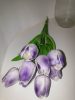 Szilikon tulipán 2 sorozat