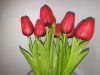 Szilikon tulipán 2 sorozat
