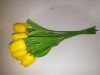 Szilikon tulipán 10 szál, alapszínek