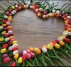 Szilikon tulipán vegyes szín